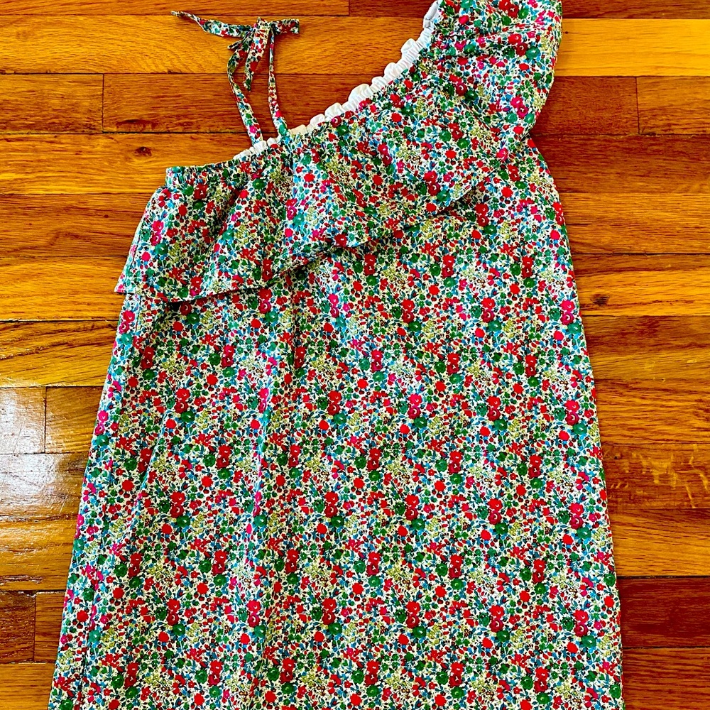 Colton one shoulder dress. Liberty print. Lined.